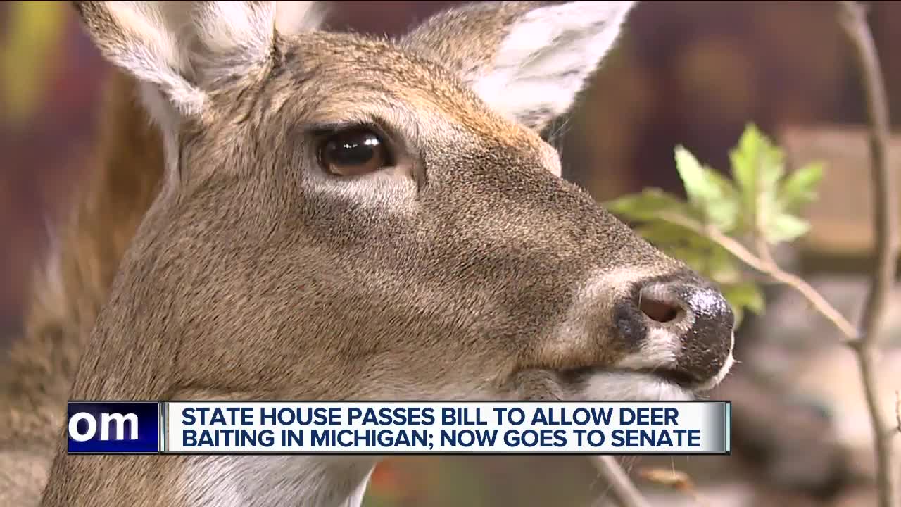 Michigan House approves bill to lift ban on deer baiting, legislation will now head to Senate