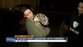 Puppy reunited with family after carjacking