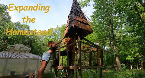 Building a Whimsical Turkey House Start to Finish