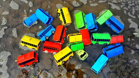 Mencari dan Menemukan Banyak Mainan Bus Tayo, Lani, Gani dan Rogi di Hamparan Air Sawah Yang Berbusa