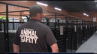 Inside look at temporary animal shelter