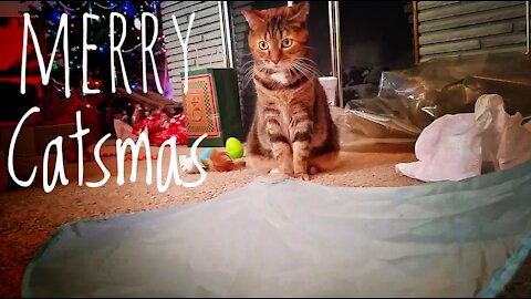 Merry Catsmas