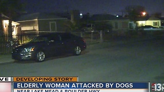 91-year-old hospitalized after attacked by dogs in Henderson