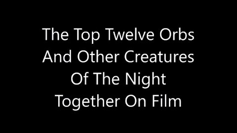 Top Twelve Orbs With Other Creatures