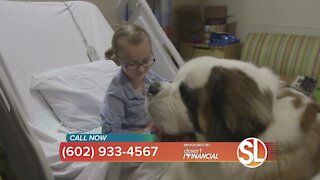 ABC15 Telethon Benefiting Phoenix Children's