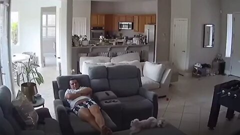 Dad has the slowest reaction to dog falling off the sofa