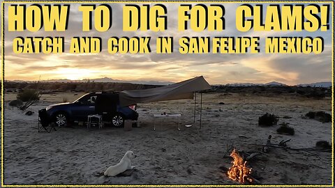 How to Dig for Clams in San Felipe Mexico