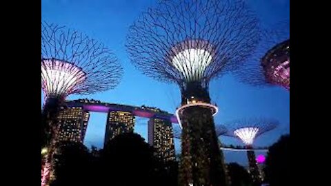 Singing Trees in Singapore