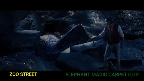 Zoo Street: Preview Live Action Aladdin Elephant's Magic Carpet.