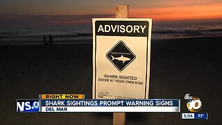 Shark sightings prompt warning signs at San Diego beaches