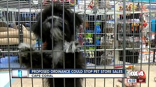 Cape Coral makes third attempt to ban retail sales of cats and dogs