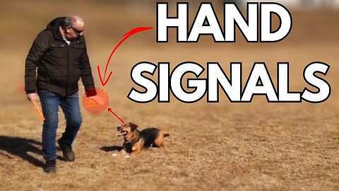 I Stopped Talking To My Dog. I Used Hand Signals Only