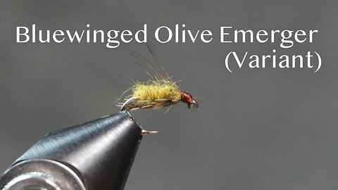 Bluewinged Olive Emerger (Variant)