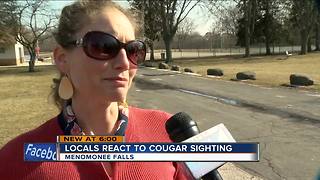 Menomonee Falls residents react to recent cougar sighting