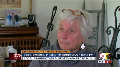 Ohio governor John Kasich calls for 'common sense' gun laws