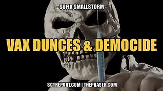 VAX DUNCES & DEMOCIDE -- SOFIA SMALLSTORM