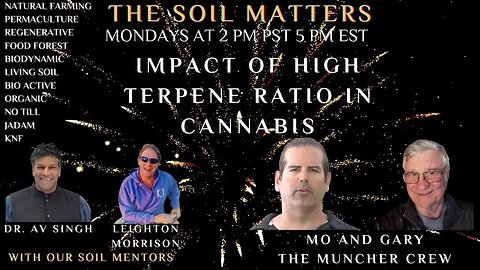 Impact Of High Terpene Ratio In Cannabis