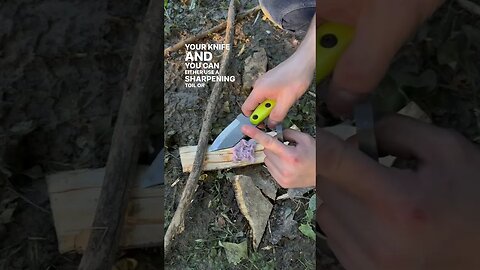 How To Start A Fire The FASTEST Way Possible | Shed Knives #shedknives #shorts