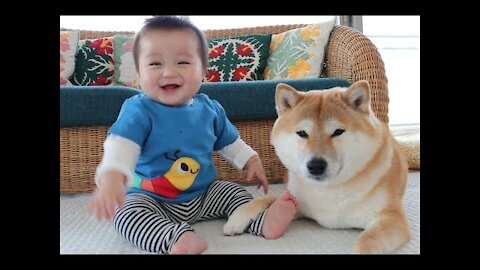Cute Babies and Pets Compilation- Adorable babies