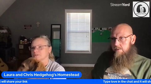 Live with Laura and Chris: A View into their everyday life #hedgehogshomestead