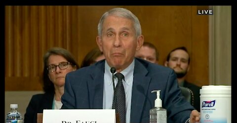 Did Fauci get caught lying to Congress again?