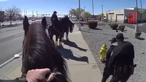 Police Chase Suspected Shoplifter On Horseback In Albuquerque, New Mexico