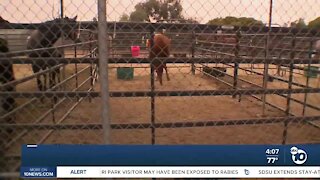 Livestock and pets evacuated due to Valley Fire