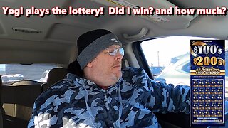 Yogi Plays The Lottery! Did I Win?