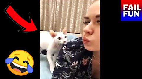 Best Scared Cat Compilation 2021 🙀😹 !!