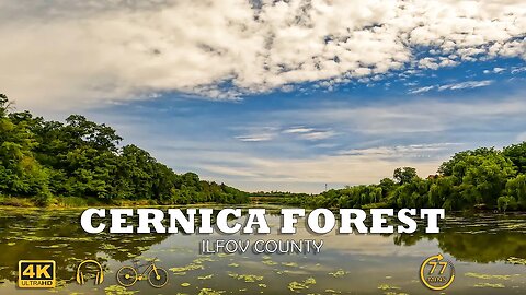 Cernica forest ride | Future bass music | 4k Virtual Tour | 🇷🇴