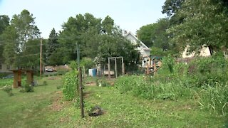 Urban farmers, nonprofit growing food forest in Benson