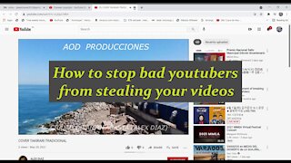 Bad Youtubers Two ways to stop them from stealing your videos