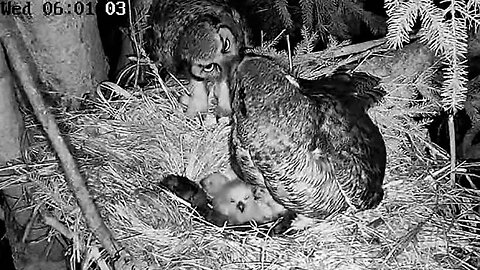 Mom and Dad Fill The Pantry 🦉 04/19/23 05:53