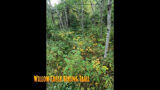 Willow Creek Hiking Trail