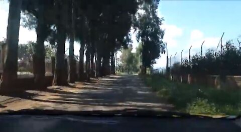 VIDEO - On the Road to La Altena, Premium Tequila Distillery