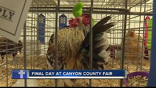 Final day at the Canyon County Fair