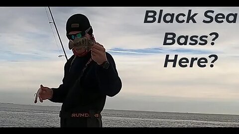 The Striper Blues Journal - Video Log 218 - Chesapeake Black Sea Bass?