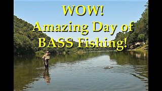 Amazing Day of Bass Fishing!