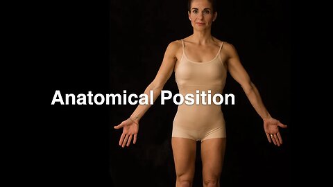 Anatomical position