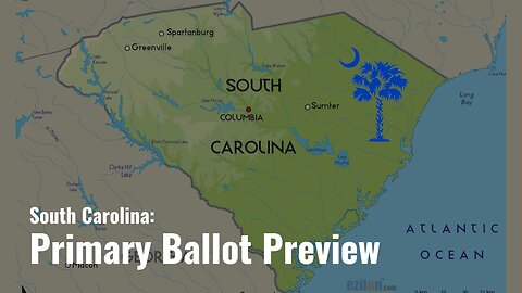 Breaking Down the SC Primary Ballot | Magnifying Glass Podcast Ep. 22