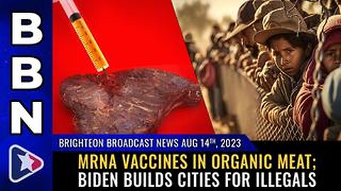 Situation Update, Aug 14, 2023 - mRNA Vaccines In Organic Meat! Biden Builds Cities For Illegals!