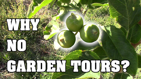 Why I have not had any garden tours this year...