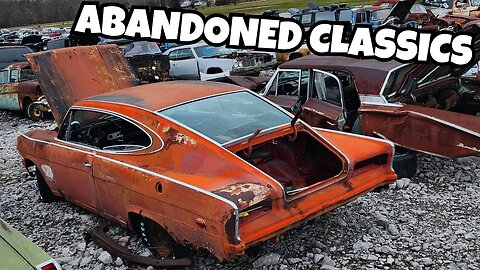 Finding Rare Muscle Cars in the Junkyard!