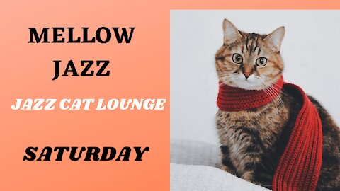 Mellow jazz with cats at JAZZ CAT LOUNGE SATURDAY