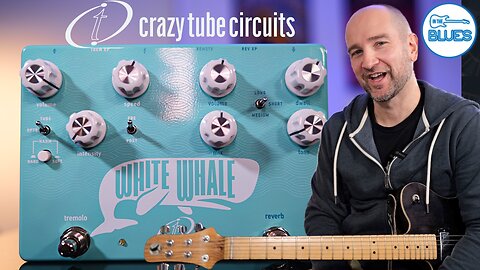 Crazy Tube Circuits White Whale V2 Reverb & Tremolo Pedal Review