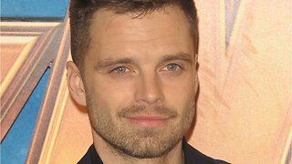 Sebastian Stan Heard Opposing Info On 'Endgame'