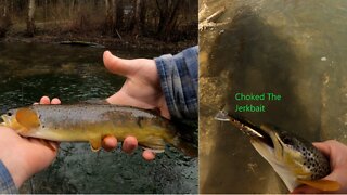 2 Days of Trout fishing on Spring creek
