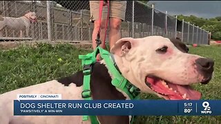 Running club brings dogs from Cincinnati-area shelter on weekly runs