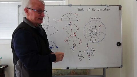 Understanding the two hemispheres of our FE System