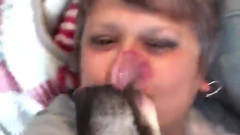 Dog can't stop kissing owner after month apart